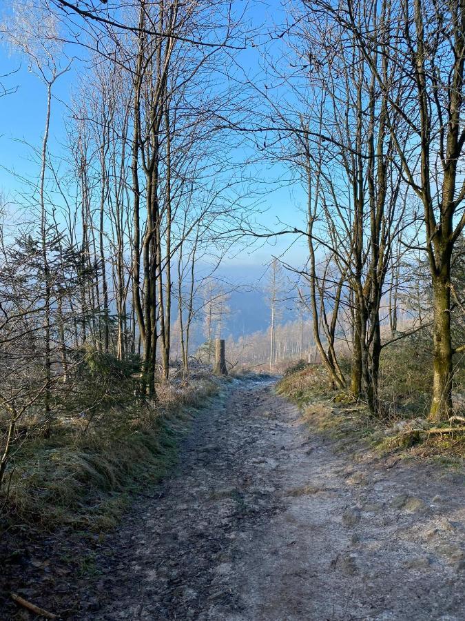Weite Blicke * Horn-Bad Meinberg