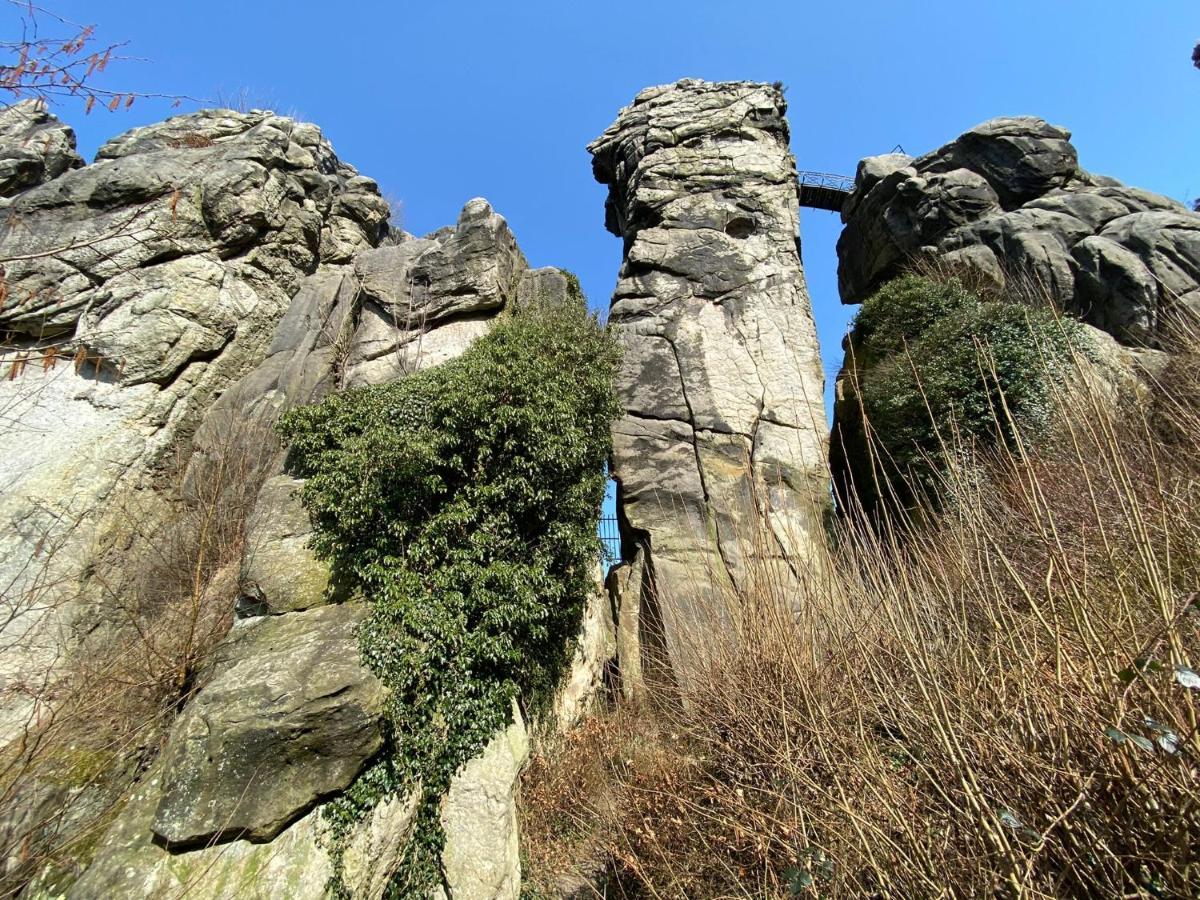 Weite Blicke Horn-Bad Meinberg